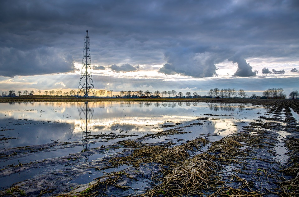 electricity pylon on marshland with reflections in the water
