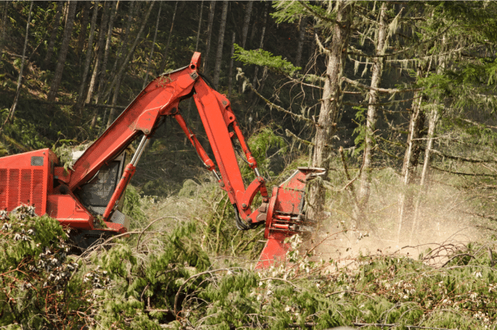 digger clearing space in forest 