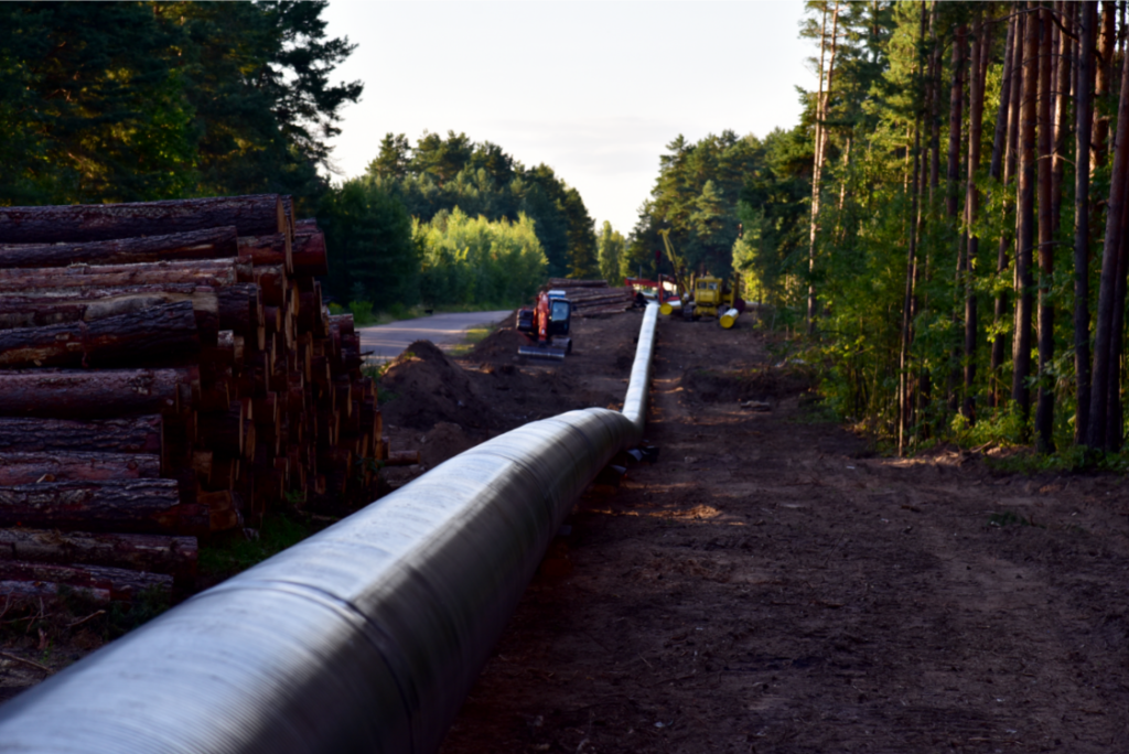 Pipeline work in a forest