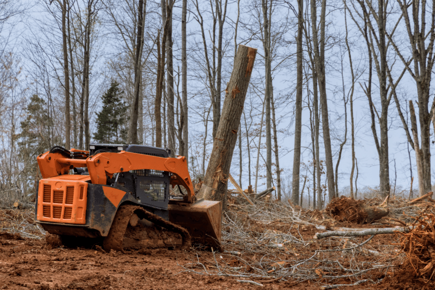 forestry ground preparation for large machinery