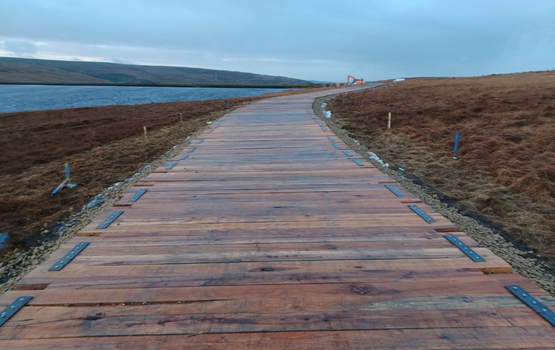 A temporary roadway produced with European hardwood